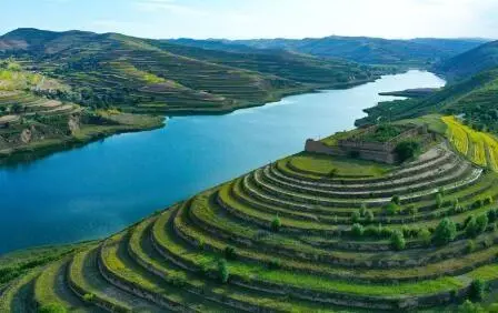 重點行業VOCs治理“一企一策”！寧夏空氣質量持續改善行動實施方案公開征求意見