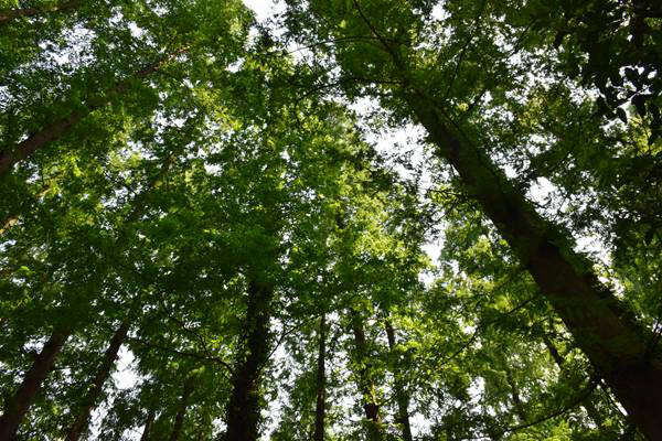 廣州市珠海、天河區(qū)全力推進秋冬季大氣污染防治攻堅工作