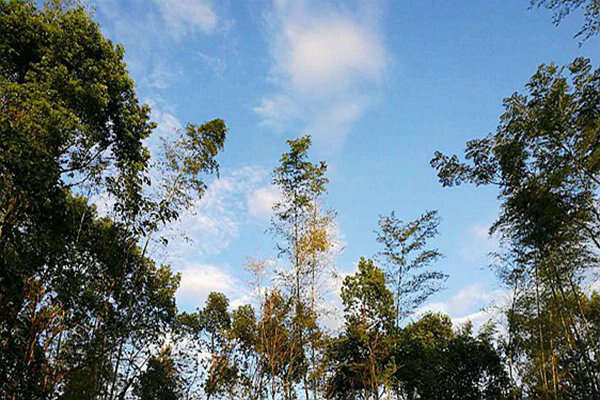 包河區(qū)生態(tài)環(huán)境分局：藍天不是等出來的，是干出來的