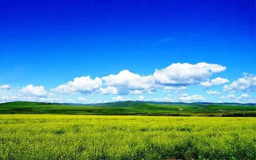 深港強化生態(tài)環(huán)境領域規(guī)則銜接與機制對接，攜手共赴美麗中國先行區(qū)之約 