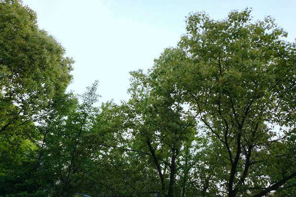 《汕尾市空氣質量持續改善行動方案》印發