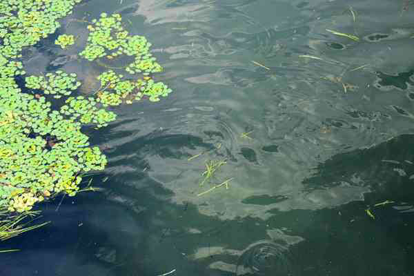 常州市召開全市污染防治攻堅推進會 