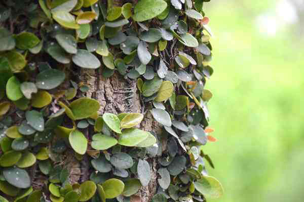 全國已建成“兩級、三類、一清單”的生態(tài)環(huán)境分區(qū)管控體系 