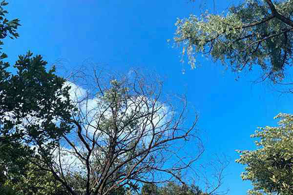 濟(jì)南高新區(qū)分局“四維聚力” 扎實推進(jìn)夏秋季大氣污染防治攻堅