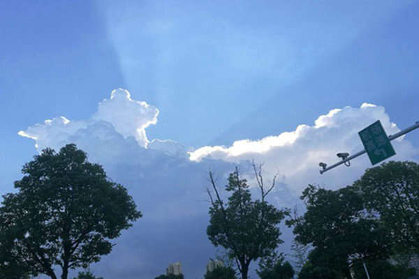 安徽臭氧防控的科技逆襲：走航監(jiān)測精準(zhǔn)狙擊，污染天數(shù)驟降近三成！