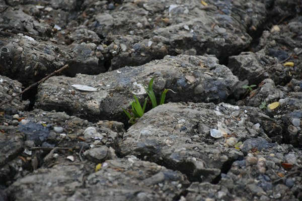 和田地區(qū)全域開展危廢規(guī)范化評估 守護(hù)生態(tài)環(huán)境安全
