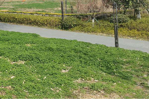 筑牢質(zhì)量“安全線”！珠海市生態(tài)環(huán)境局等四部門加強(qiáng)建設(shè)用地土壤環(huán)境聯(lián)動監(jiān)管服務(wù)