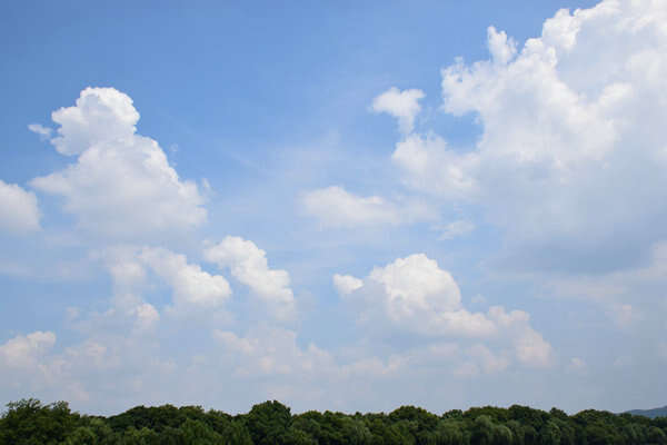 昌吉市大氣污染防治“提級管理”見實效 藍(lán)天保衛(wèi)戰(zhàn)再添新動能