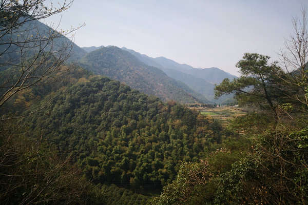 甘肅“五棋聯動”筑牢西部生態屏障，PM2.5平均濃度連續兩年同比下降