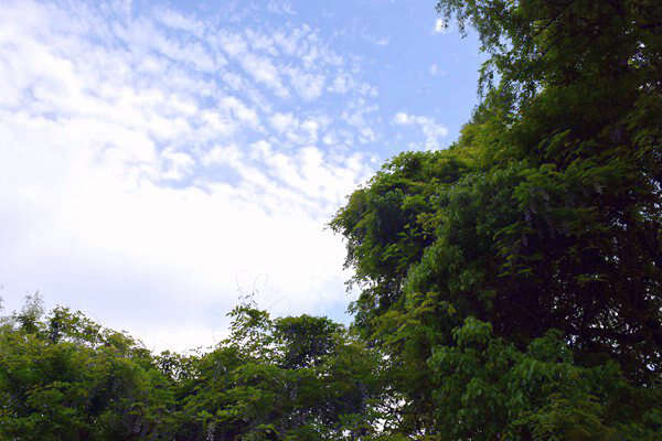 生態環境部部長黃潤秋出席甲烷與其他非二氧化碳溫室氣體峰會并會見外方高級代表