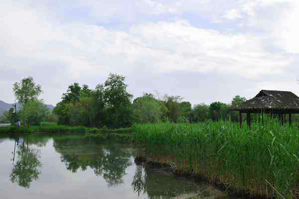 滁州市明光市全方位提升生態(tài)環(huán)境治理水平