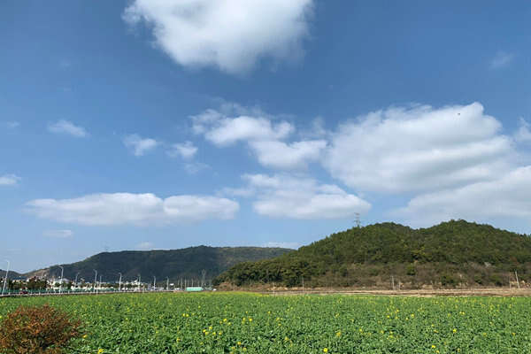 壽光市三措并舉攻堅大氣治理 持續擦亮“藍天底色”