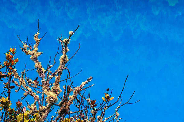 生態環境部部長黃潤秋出席COP30“中國角”系列邊會活動并會見外方高級代表