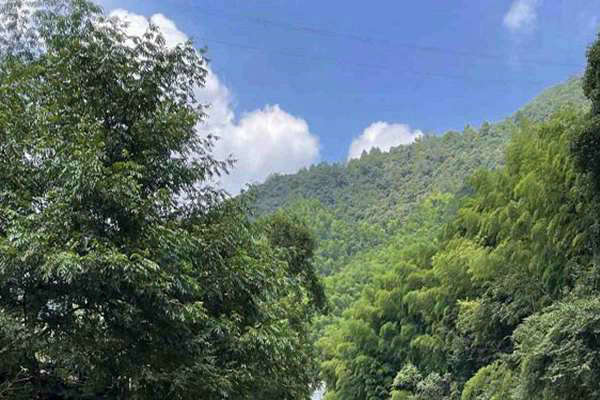 寧夏“十五五”規劃建議出爐 加快經濟社會發展全面綠色轉型